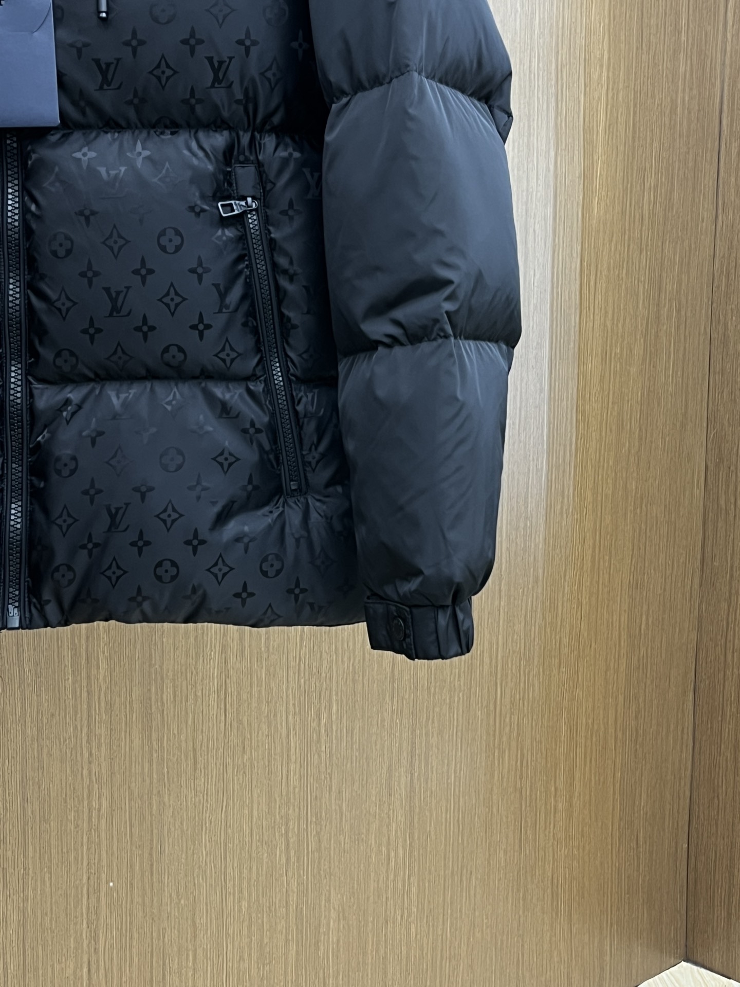 Louis Vuitton Down Jackets